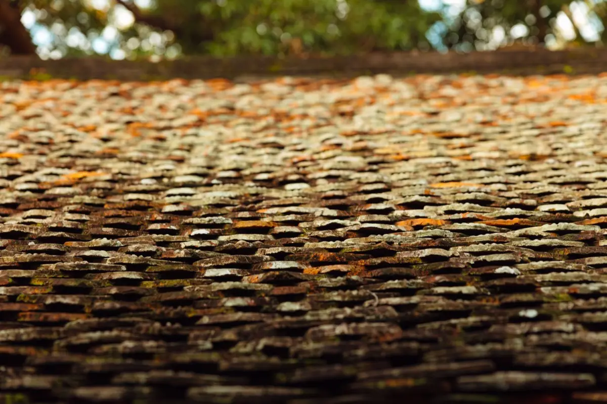 Moss growing on an aging asphalt shingle roof in Dothan, AL